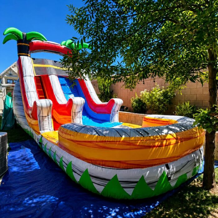 Tropical Paradise Dual-Lane Water Slide