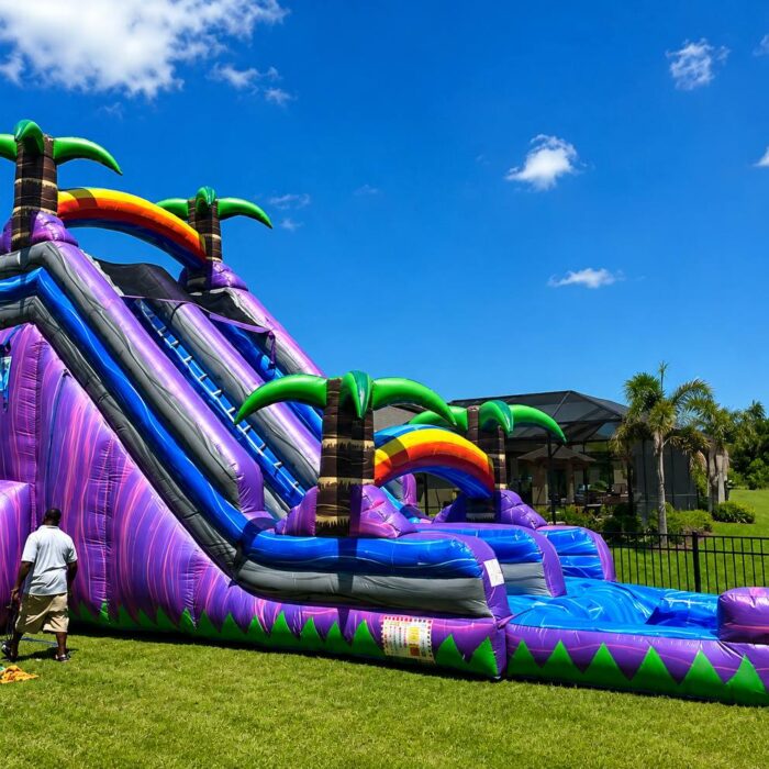 Purple Paradise Mega Single-Lane Water Slide