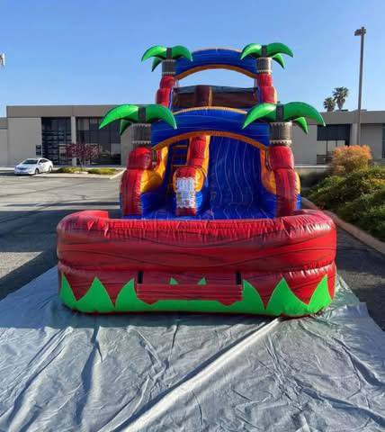 Tropical Palm Splash Water Slide